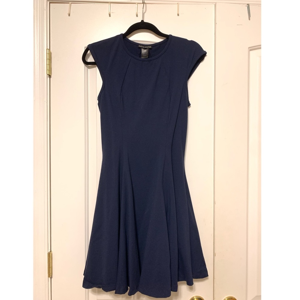 Navy Blue David Lerner Short-Sleeved Dress